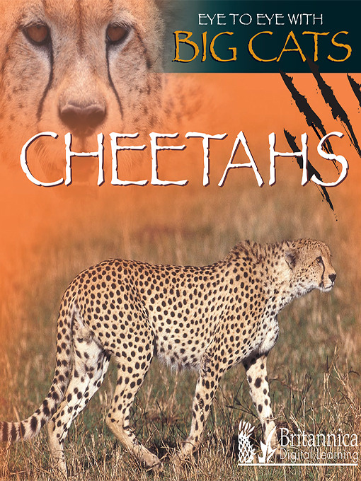 Title details for Cheetahs by Jason Cooper - Available